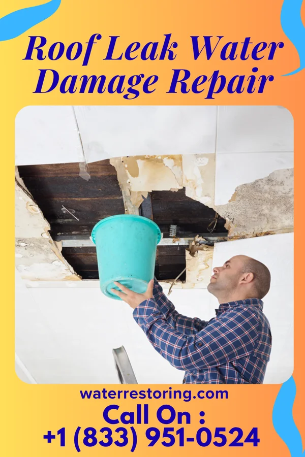 Roof Leak Water Damage Repair in Von Ormy, TX